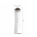 RF Beauty Instrument Home Maggie EMS Skin Rejuvenation Inductive Therapeutical Instrument