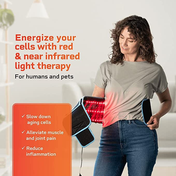 Red Light Physical Therapy Belt 630nn 880nn Infrared Fever Dysmenorrhea Belly Warming Waist Support
